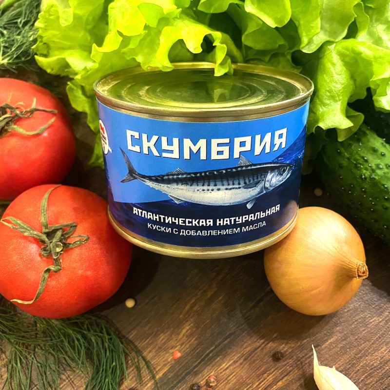 Скумбрия